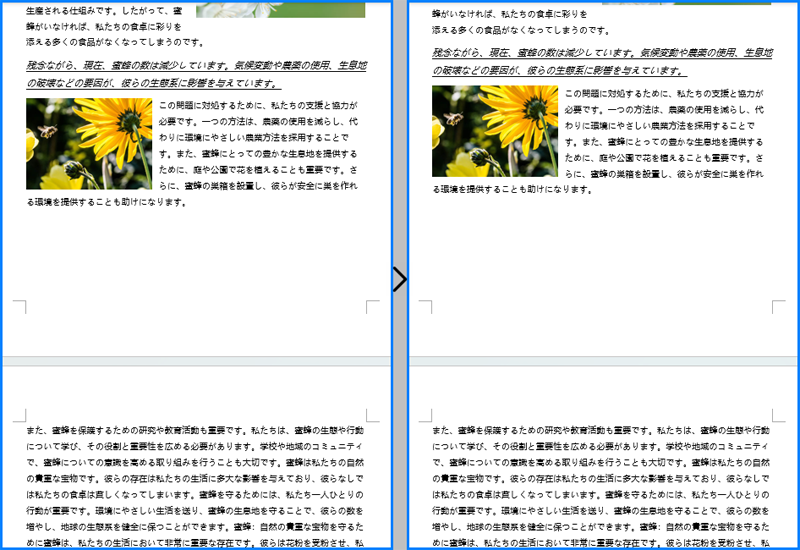 C#：Word 文書からコンテンツを読み取る方法