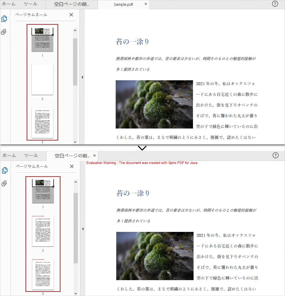 Java：PDF から空のページを検索して削除する方法