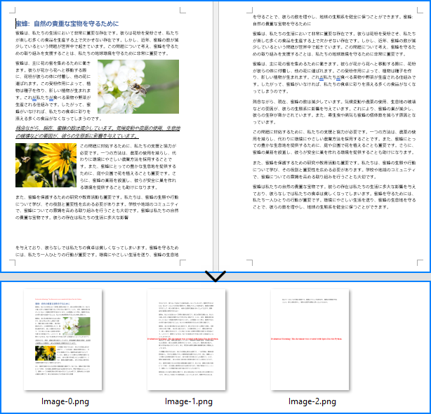 Python で Word 文書を画像に変換