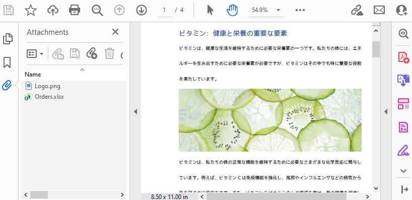 Add Document Attachment to PDF with Python